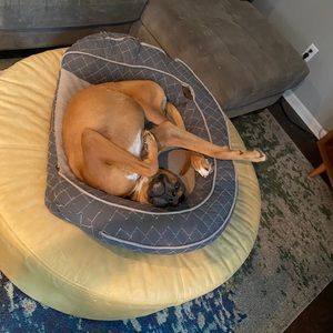 Meet your Posher, Steve